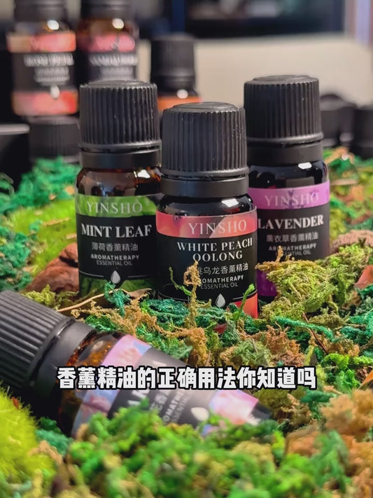 H223 车载家用无火香薰精油