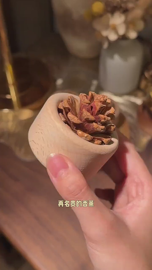 H208 天然松果扩香摆件